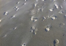 HOW DOES IT MATTER WHERE YOU’VE BEEN?